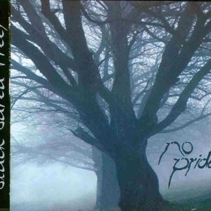 Black Bared Trees