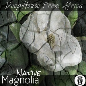 Magnolia (Deep House from Africa)