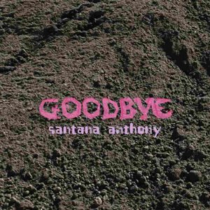 Goodbye - Single