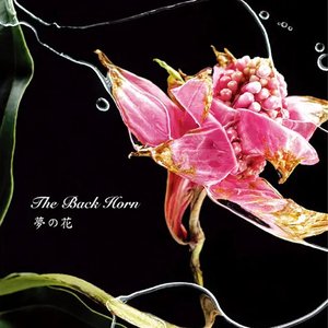 Yume No Hana - Single