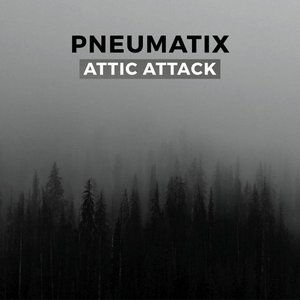 Attic Attack
