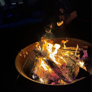 <3'sfrmafghanistan 的头像