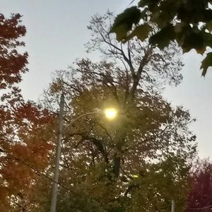 The October Song - Single