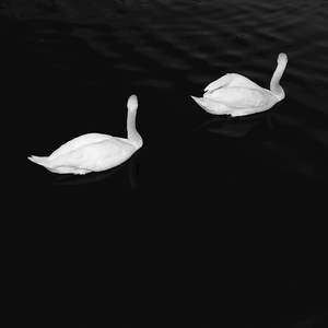 Cashmere Cat - Adore - Zortam Music