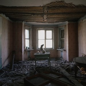 пёс