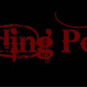 Dividing Point 的头像