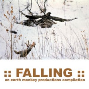 Bild für '::FALLING:: an earth monkey compilation'