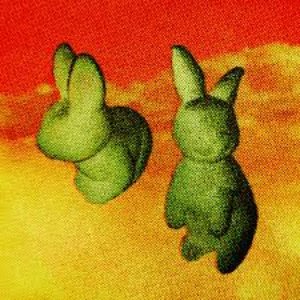 GRASS BUNNIES