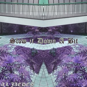 Slow It Down a Bit (Slowed and Reverb)