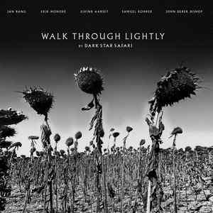 Walk Through Lightly