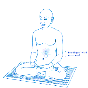 Image for 'Youth Guard'