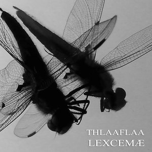 Lexcemæ