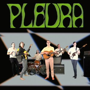 Pleura