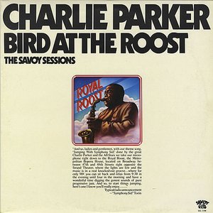 Bird At The Roost