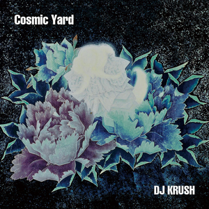 Cosmic Yard cover