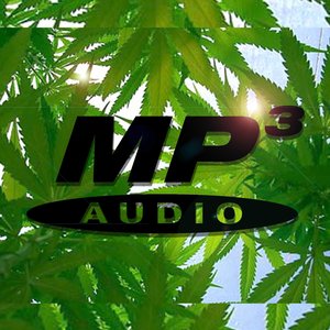 MP3 ON WEED 的头像