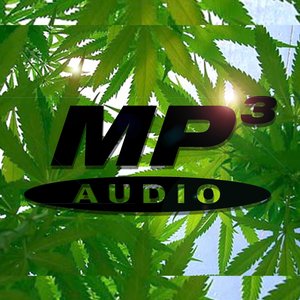 Avatar di MP3 ON WEED