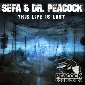 Walking in the Air - Single — Sefa | Last.fm