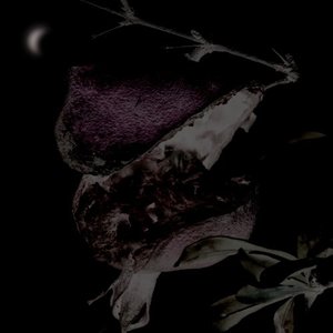 Over the Moon (Demo)