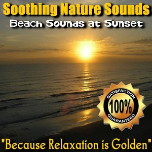 Beach Sounds at Sunset