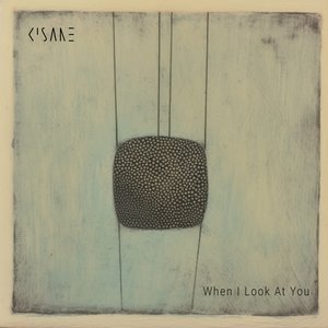 When I look at you