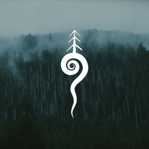 “Wise Tree”的封面