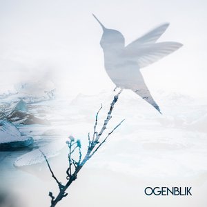 Ogenblik