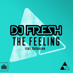 Awatar dla DJ Fresh feat. RaVaughn