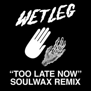 Too Late Now (Soulwax Remixes)