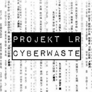 Cyberwaste