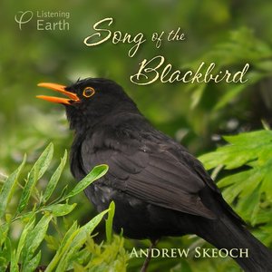 Song of the Blackbird