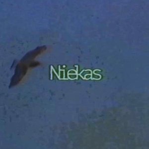 Niekas