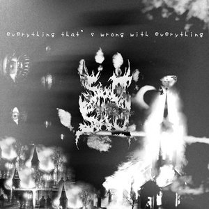 everything that's wrong with everything