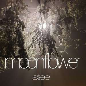 Steel