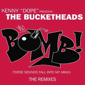 The Bomb! (These Sounds Fall Into My Mind) (The Remixes)