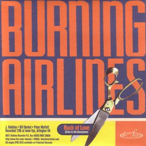 Braid/Burning Airlines