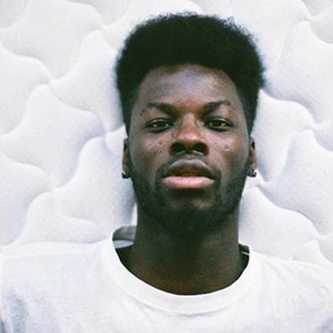 Papillon photo provided by Last.fm