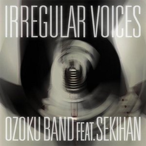 IRREGULAR VOICES feat. Sekihan