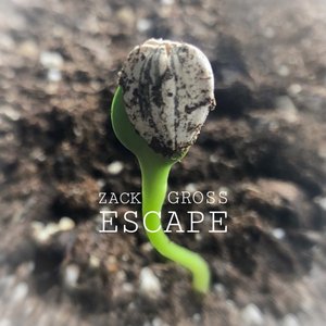 Escape