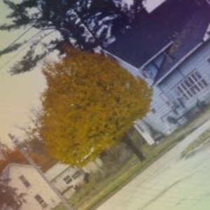 Advice - Single