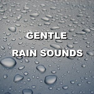 Аватар для Rain Sounds ACE