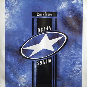 Ocean Wings 的头像