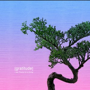Gratitude