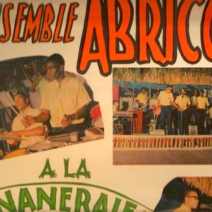 Avatar for L'Ensemble Abricot