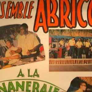 L'Ensemble Abricot 的头像