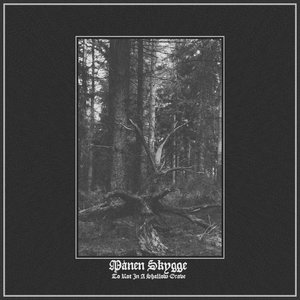 To Rot In A Shallow Grave