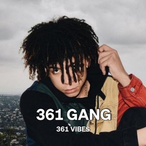361 Vibes 的头像
