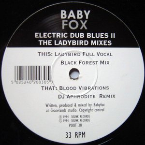 Electric Dub Blues II (The Ladybird Mixes)