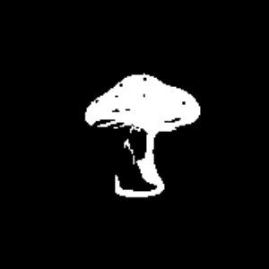 fungi girlz 的头像