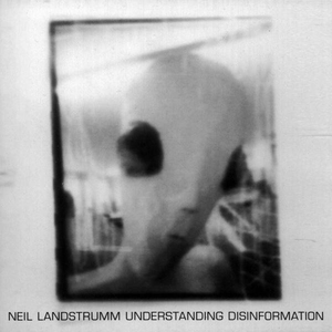 Understanding Disinformation cover